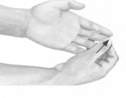 性冷淡按摩部位图解