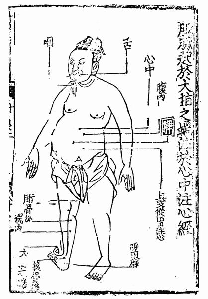 《子午流注针经》十二脉图