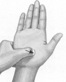 胃肠炎按摩部位图解