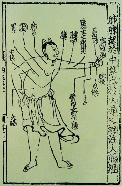 《子午流注针经》十二脉图