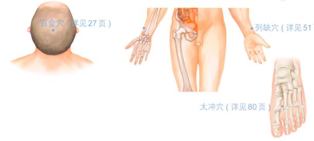 脱发按摩部位图解