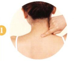 阴虚体质拔罐部位图解