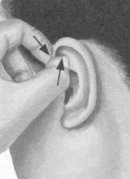 胃肠炎按摩部位图解