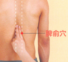 胃下垂艾灸哪个部位图解