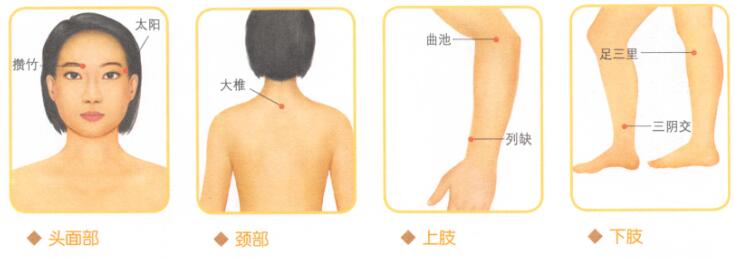过敏性鼻炎按摩部位图解
