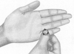 痛经按摩部位图解