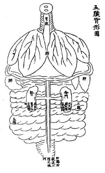 《循经考穴编》传本存真图