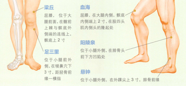 膝关节骨关节炎艾灸哪个部位图解