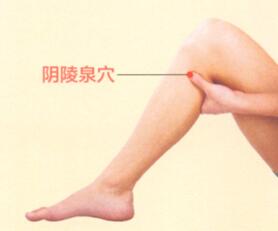 冬季艾灸艾灸哪个部位图解