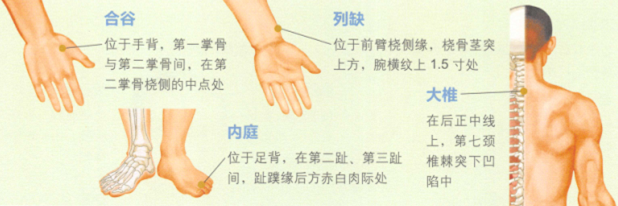 急性扁桃体炎艾灸哪个部位图解