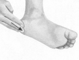 性冷淡按摩部位图解