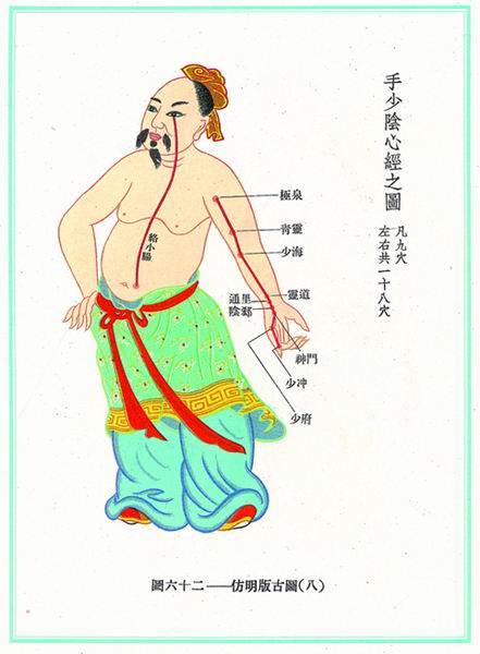 《新针灸学》经穴图