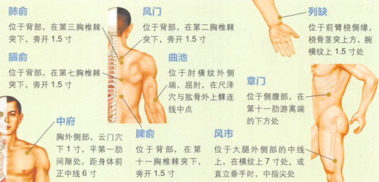 皮肤瘙痒症艾灸哪个部位图解