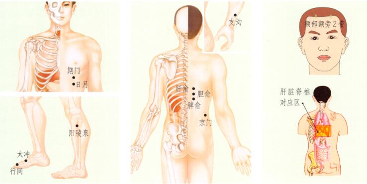 胁痛刮痧部位图解