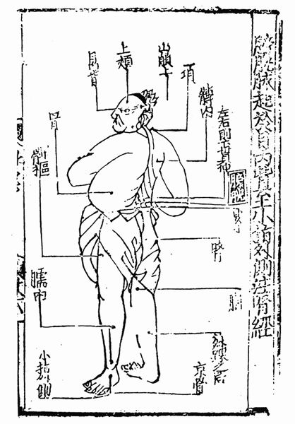 《子午流注针经》十二脉图