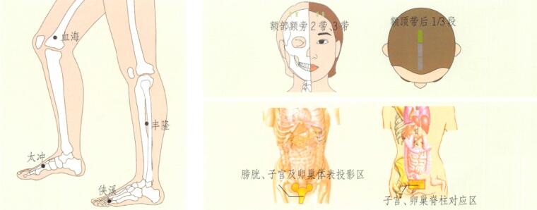 月经不调刮痧部位图解
