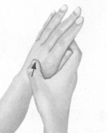 阳痿按摩部位图解