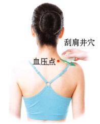 高血压刮痧部位图解
