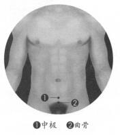 阳强按摩部位图解