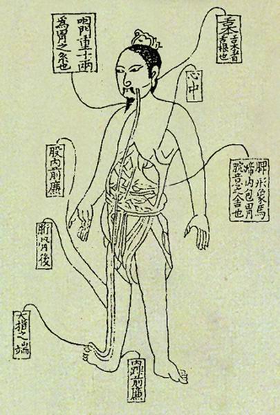 《活人书》经络图