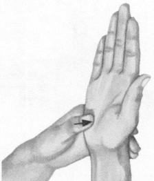 高血压按摩部位图解