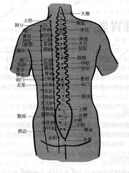 膈肌痉挛磁圆梅针疗法