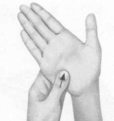 肥胖症按摩部位图解