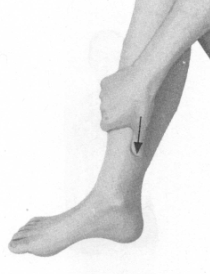 失眠症按摩部位图解