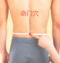 阳痿艾灸哪个部位图解