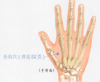 牙痛按摩部位图解