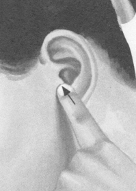 痛经按摩部位图解