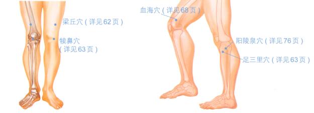 膝关节炎按摩部位图解