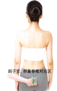 性保健刮痧部位图解
