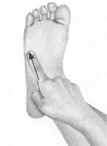 美容美体按摩部位图解