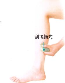 肾和膀胱保健刮痧部位图解