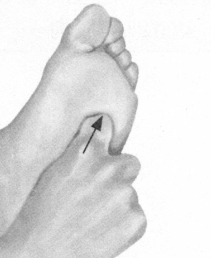 美容美体按摩部位图解