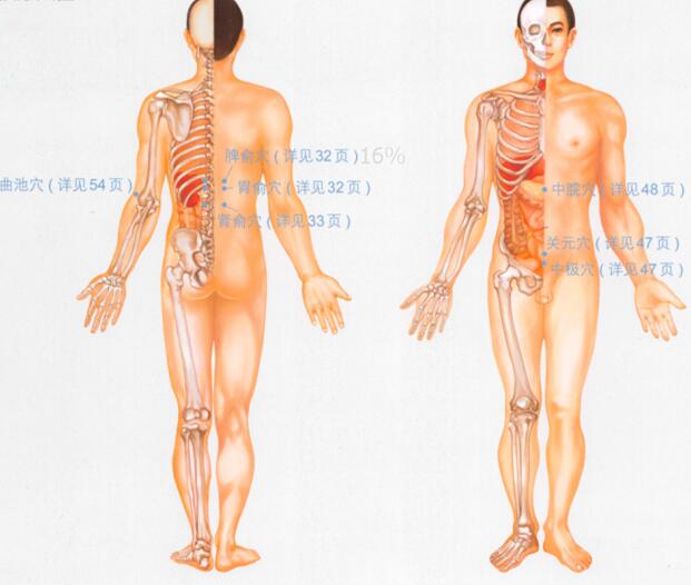 糖尿病按摩部位图解