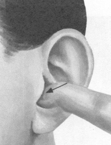 美容美体按摩部位图解