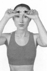 鼻炎按摩部位图解