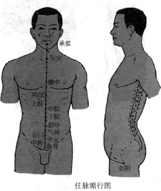梅花针循经叩刺法