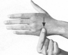 高脂血症按摩部位图解