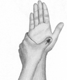 鼻炎按摩部位图解