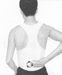 遗精按摩部位图解