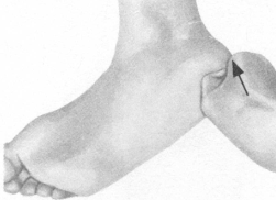 前列腺疾病按摩部位图解