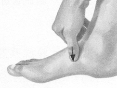 前列腺疾病按摩部位图解