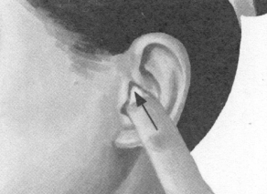 胃肠炎按摩部位图解