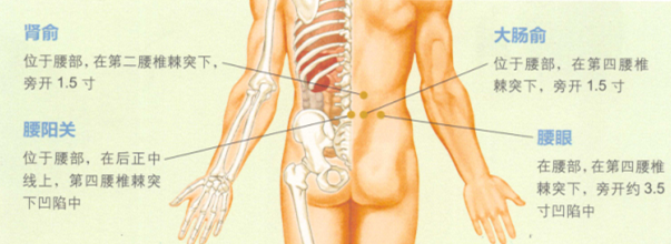 腰椎间盘突出艾灸哪个部位图解