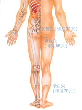 痔疮按摩部位图解