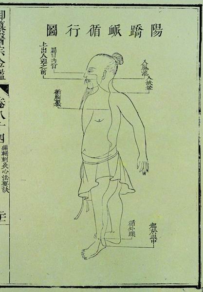 《医宗金鉴》奇经八脉图