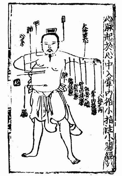 《子午流注针经》十二脉图